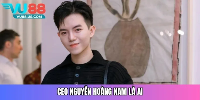 CEO Nguyễn Hoàng Nam - Người Đứng Sau Thành Công Của Vu88 1 CEO Nguyễn Hoàng Nam là ai?