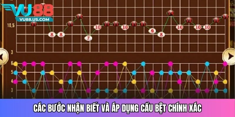 Các bước nhận biết và áp dụng cầu bệt chính xác