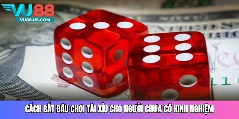 Cách bắt đầu chơi tài xỉu cho người chưa có kinh nghiệm