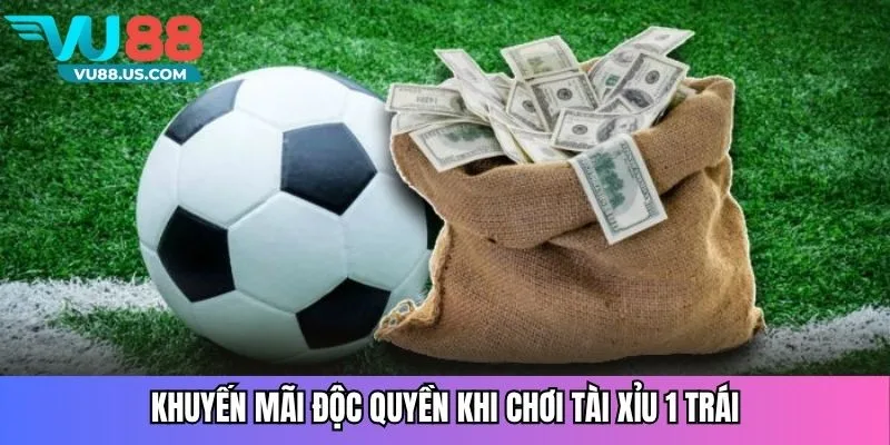 Khuyến mãi độc quyền khi chơi tài xỉu 1 trái