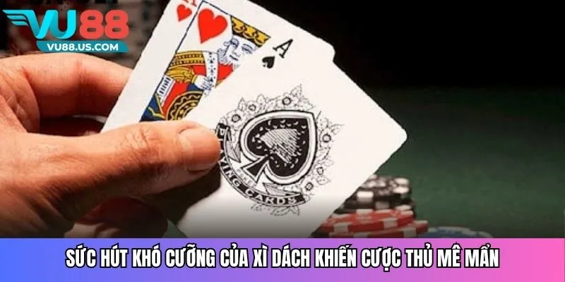 Sức hút khó cưỡng của xì dách khiến cược thủ mê mẩn