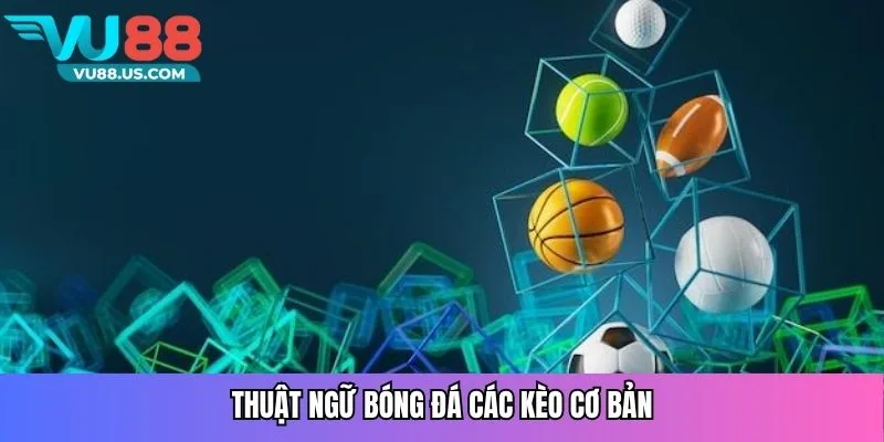 Thuật ngữ bóng đá các kèo cơ bản