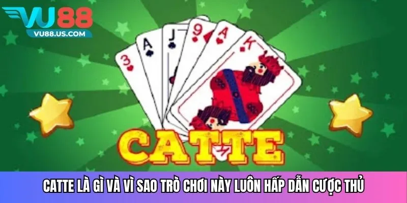 Catte là gì và vì sao trò chơi này luôn hấp dẫn cược thủ