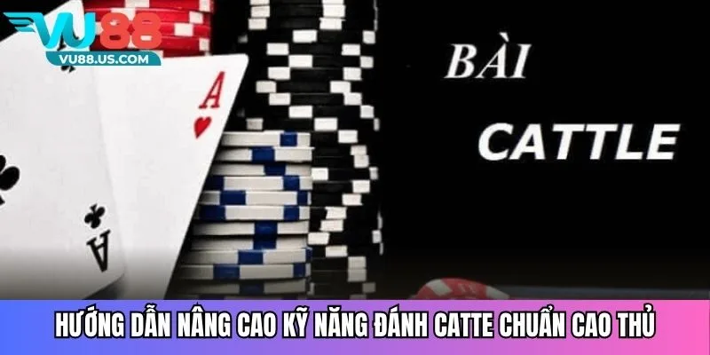 Hướng dẫn nâng cao kỹ năng đánh catte chuẩn cao thủ